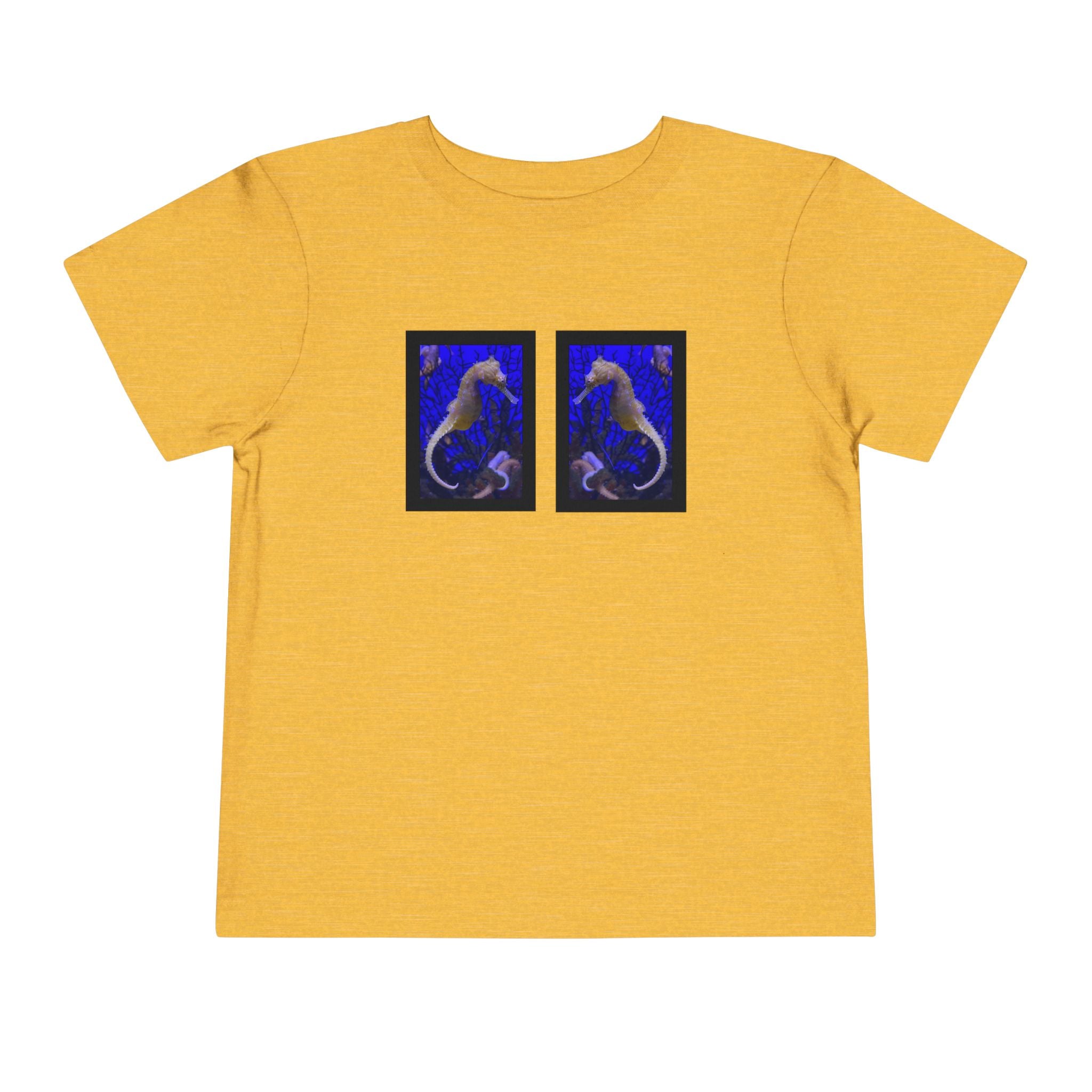 moontiq Toddler Kids T-Shirt 3D Seahorse Under Sea Tee US