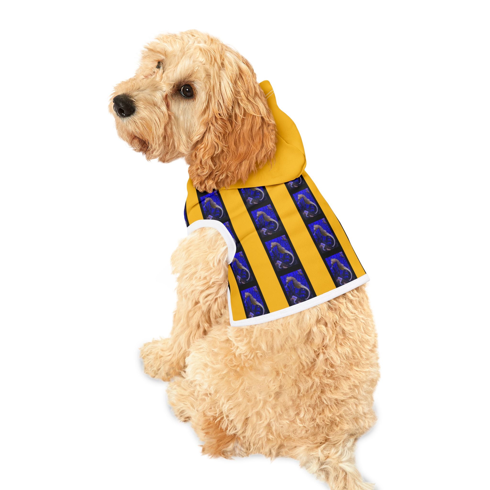 moon pooch Dog Hoodie 'Seahorse' Dog Walking Fashion US