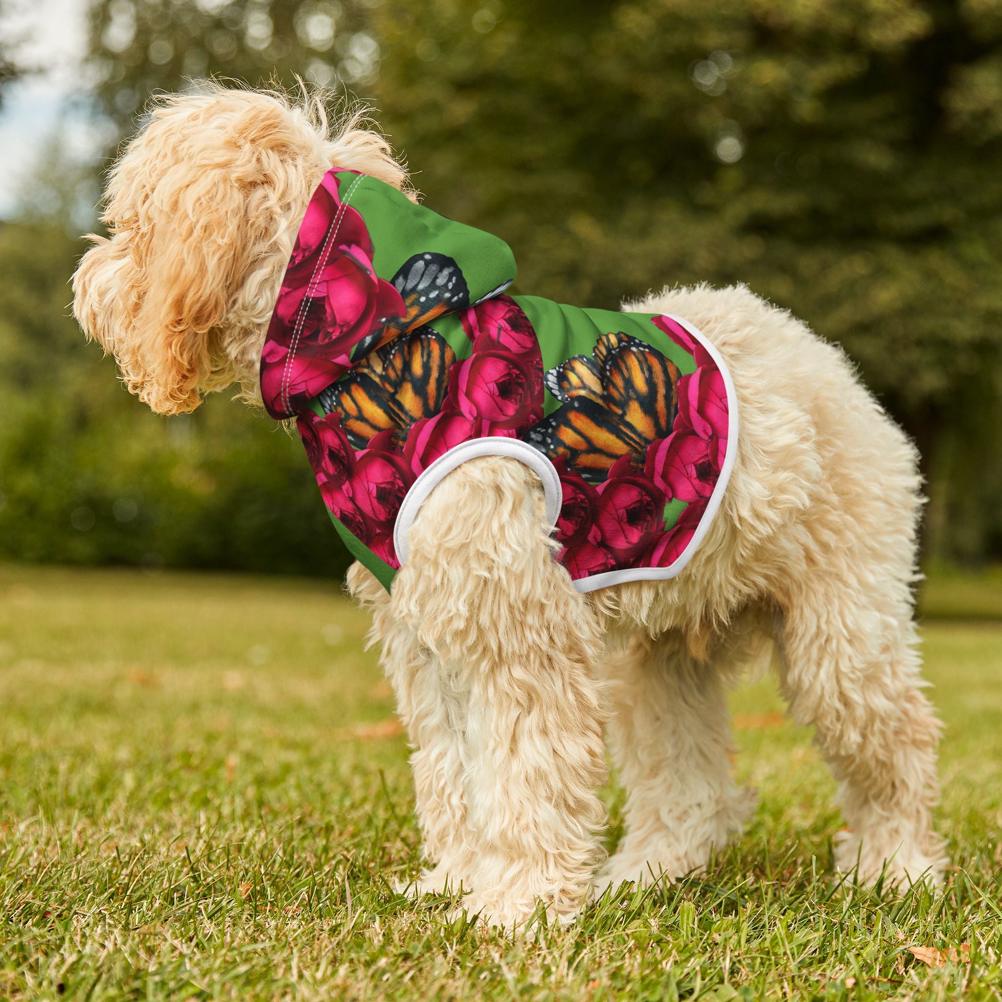 moontiq pooch Dog Hoodie 'Butterfly and Rose' - Dog Fashion US