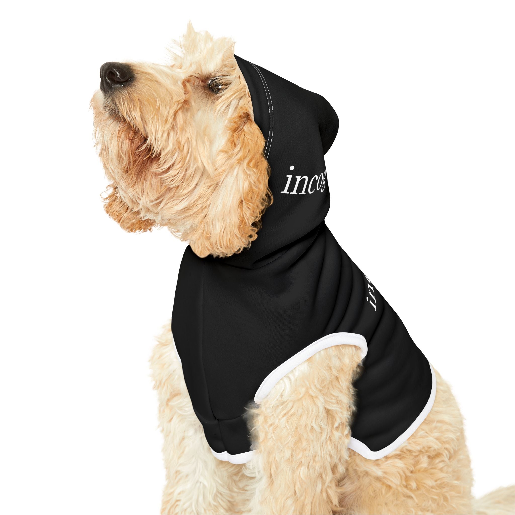 moontiq pooch Dog Hoodie 'Incognito' Stylish Dog Clothes US