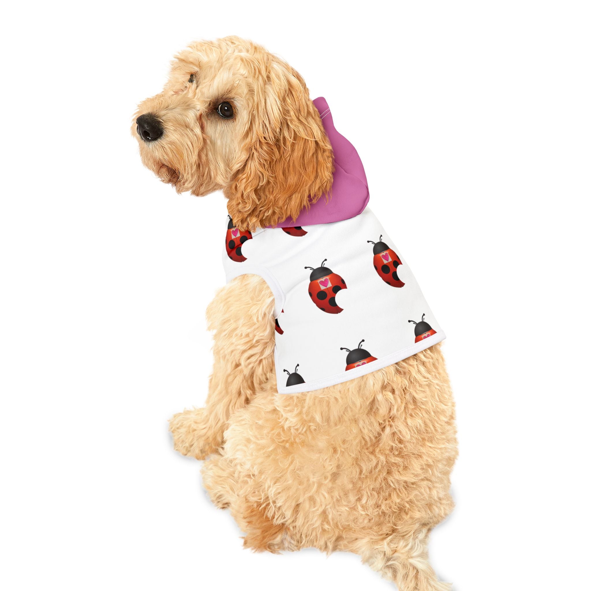 moontiq pooch Ladybug 'My Heart Matters' Cute Dog Sweatsuit US